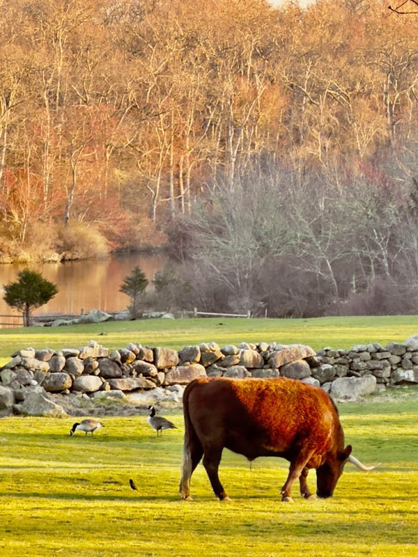 440745023_10226471000384462_4895751557600334263_n